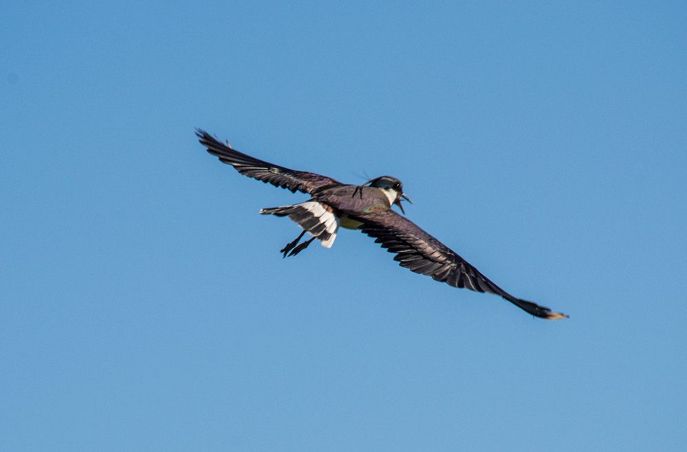 Photograph by Ирина