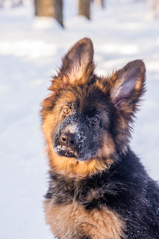 Photograph by Ирина