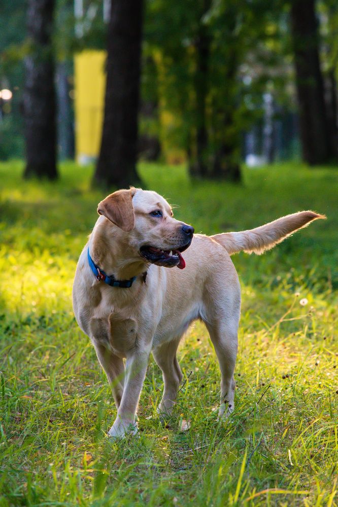 Photograph by Ирина