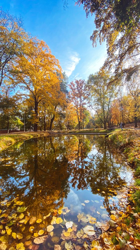 Photograph by Ольга Белостоцкая