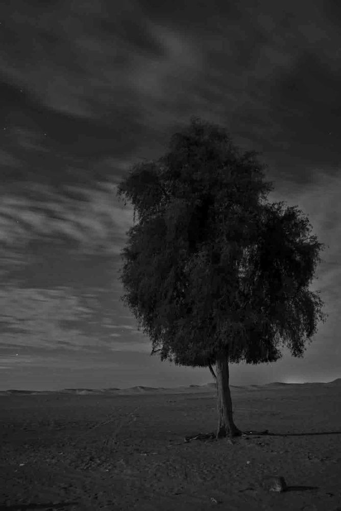 Photograph by Abdulrahman Sawalha