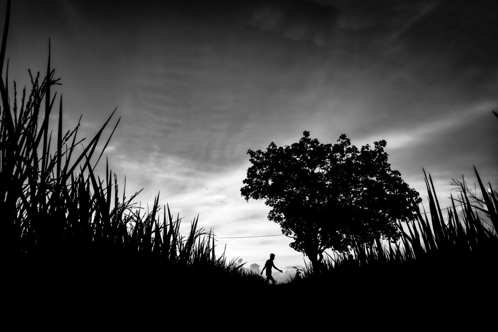 Photograph by Ian TerraNuka