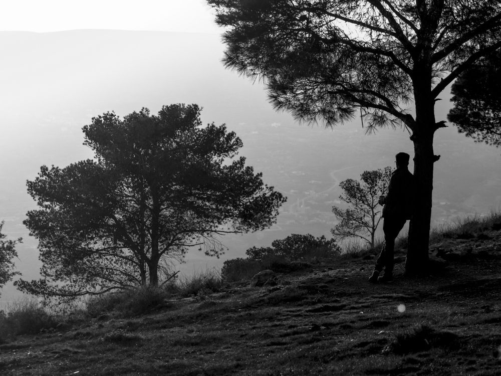 Photograph by Mohammad Al-Amr