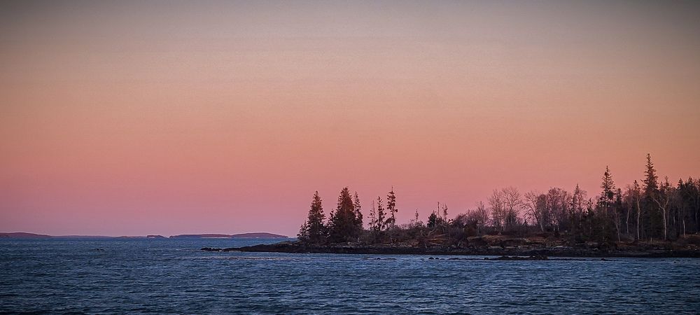 Photograph by Ryan Constable