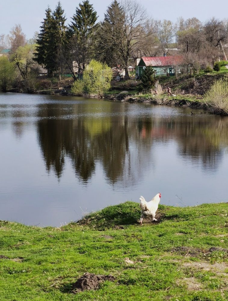 Photograph by Филоненко Николай