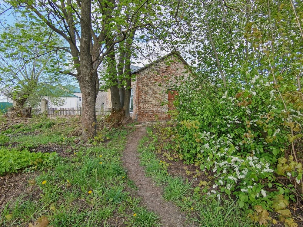 Photograph by Филоненко Николай