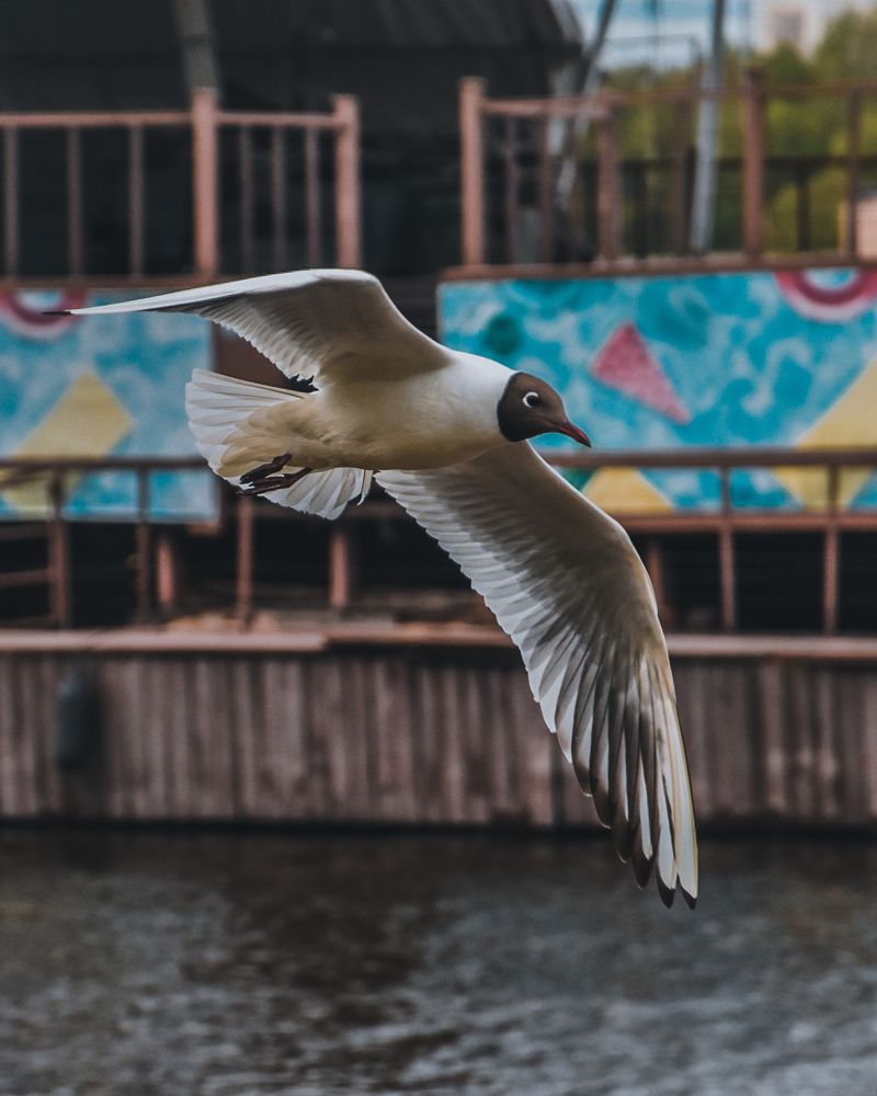 Photograph by Ксения Прохорова