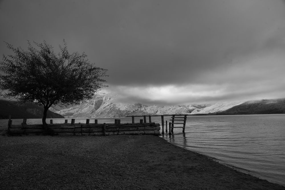 Photograph by Carlos Urrea