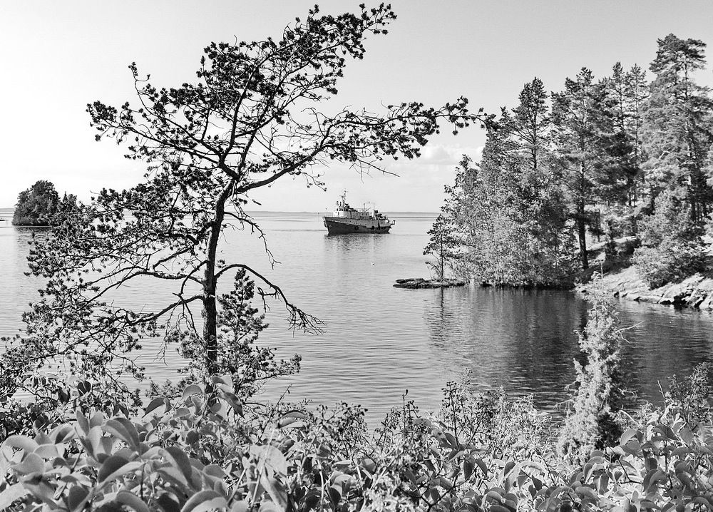 Photograph by Лидия Ушакова