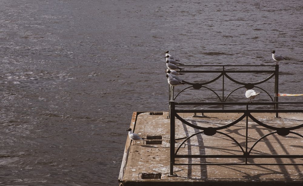 Photograph by Вероника Воронина