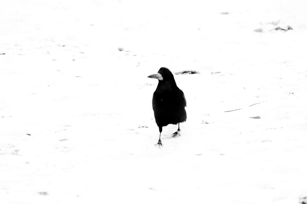 Photograph by Вероника Воронина