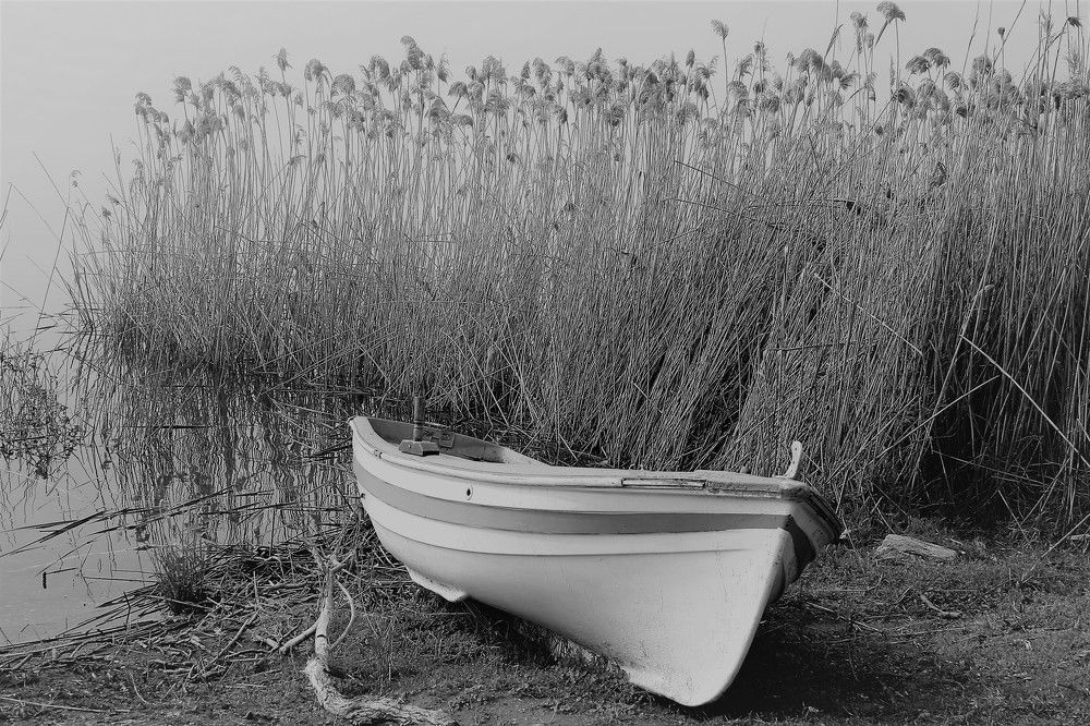Βάρκα σε αναμονή.....