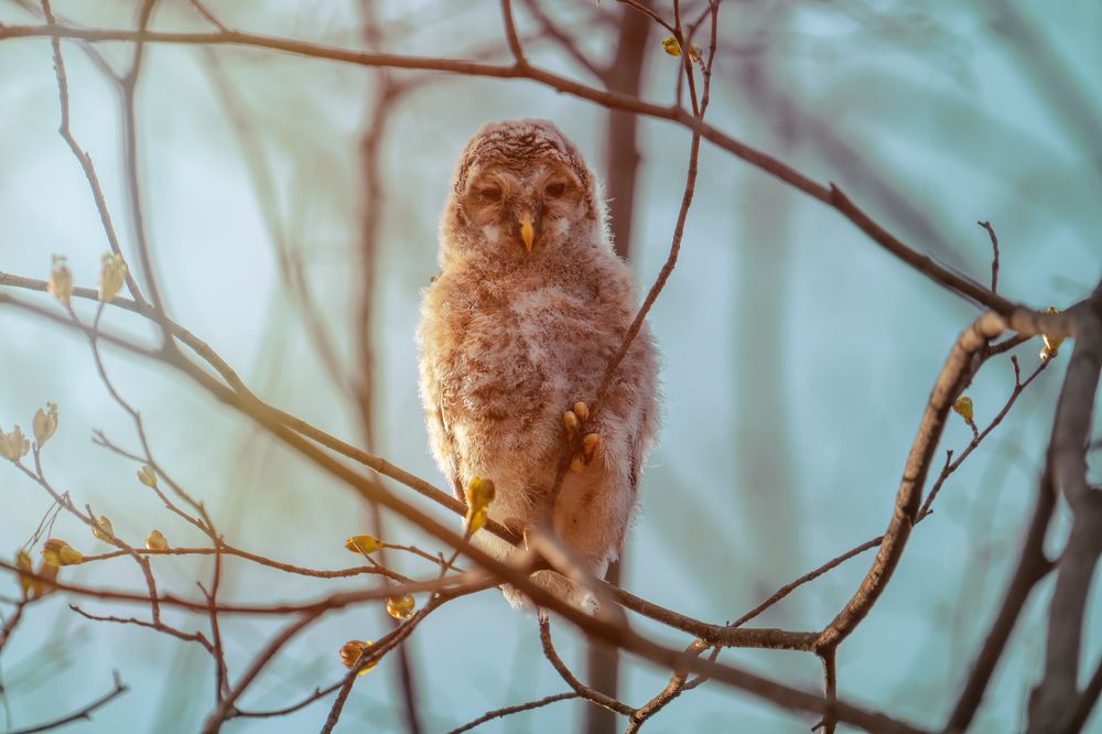 Фотография автора Pavel Reshetov