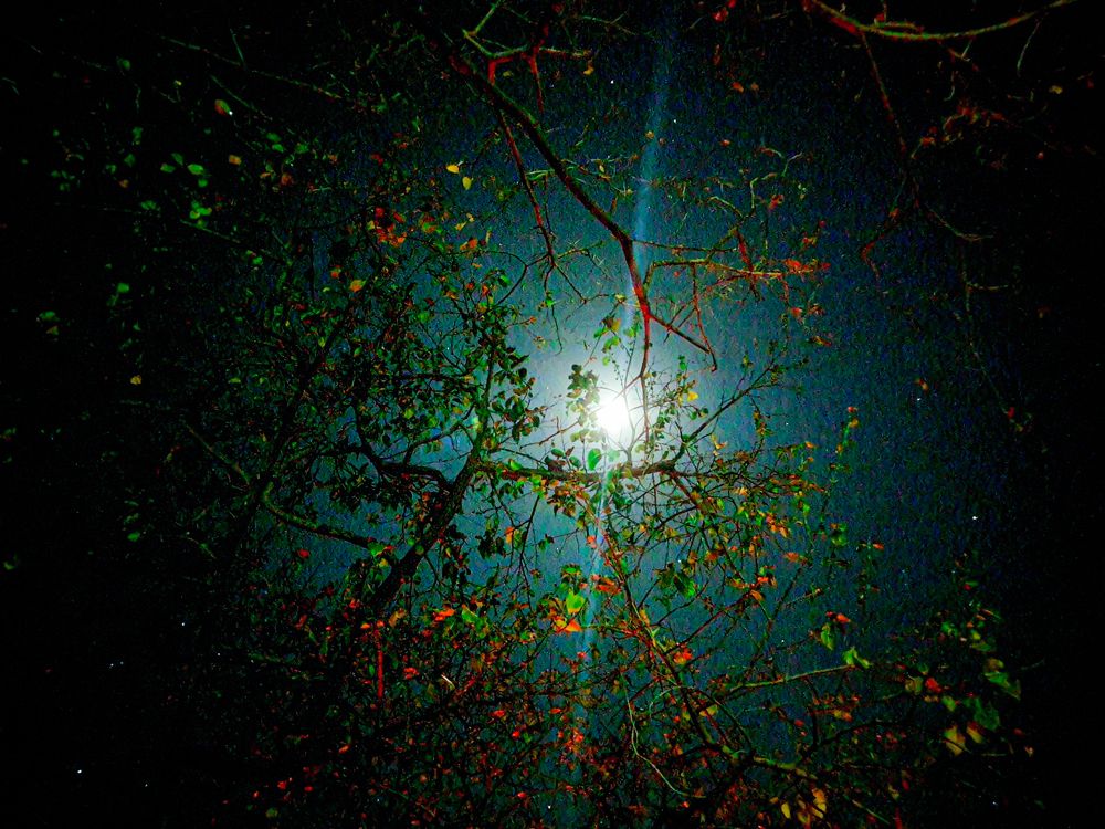 Let Me Shine in Your Darkness