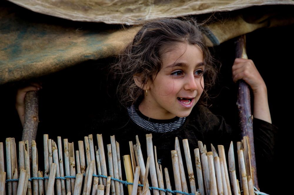 Photograph by mohammadreza behmaram