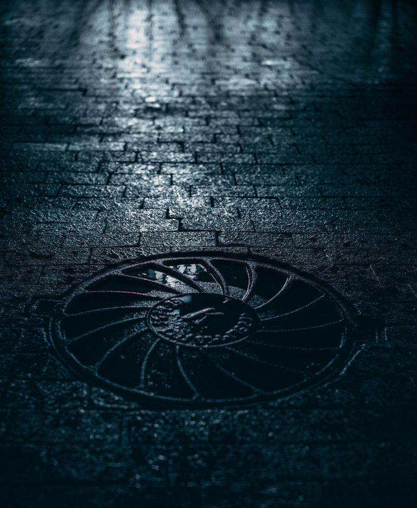 Photograph by Алексей Немчинов