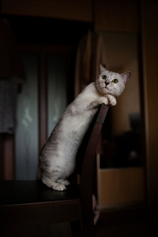 Photograph by Алёна Попова