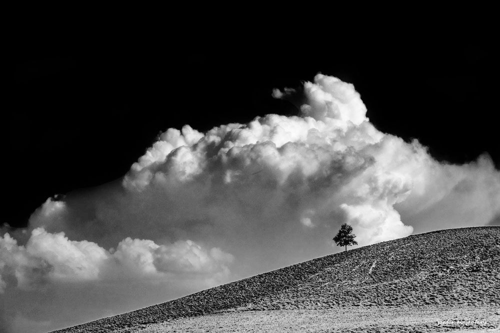 Photograph by Jafar Yahia