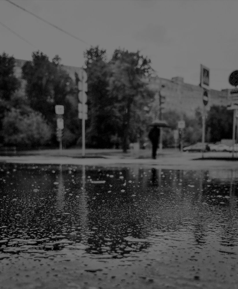 Photograph by Ксения Красина