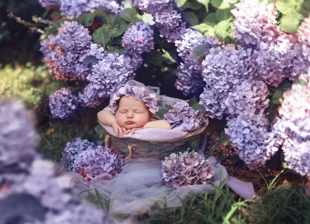 Photograph by Гаврильцова Светлана