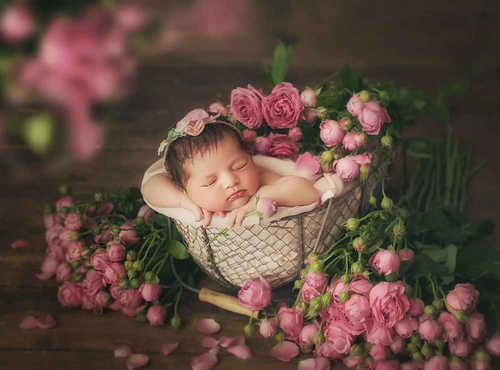 Photograph by Светлана Гаврильцова