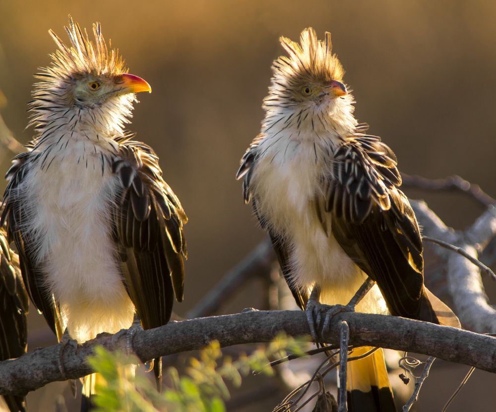 Photograph by Сергей Волков