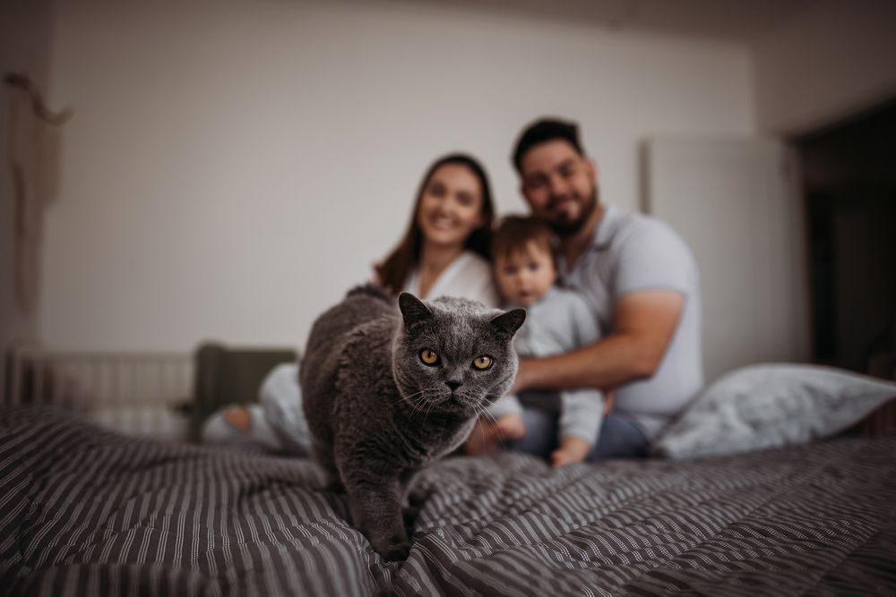 Photograph by Алёна Попова