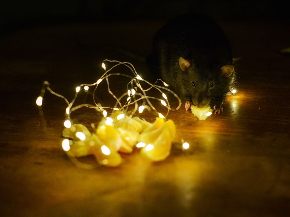 Photograph by Ольга Темкина