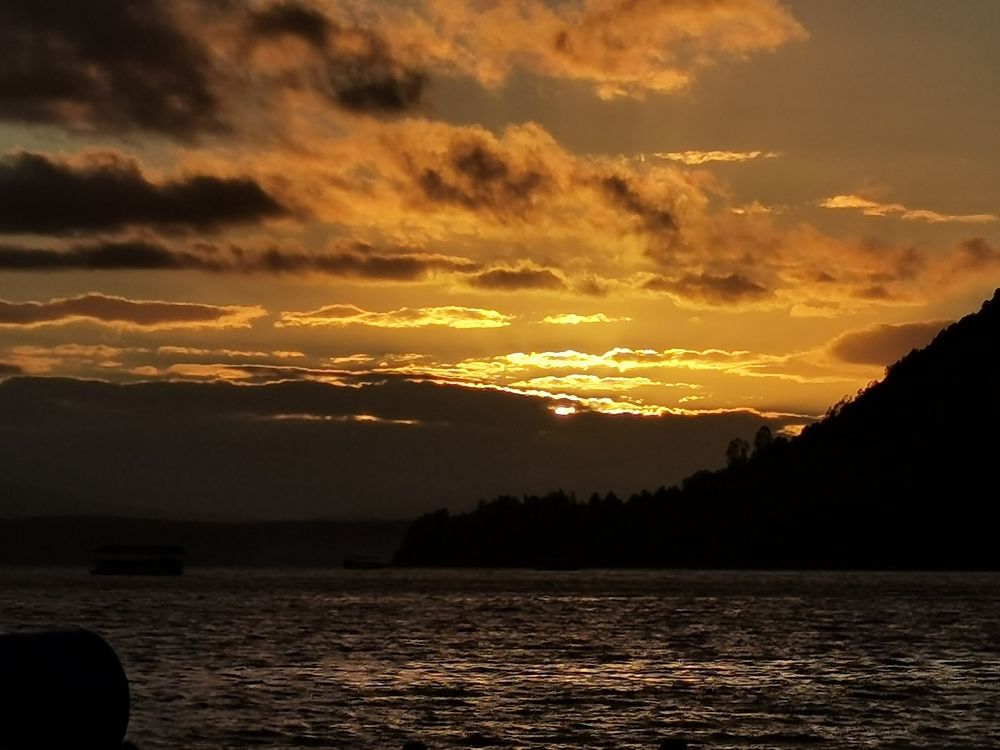 Photo #7612435