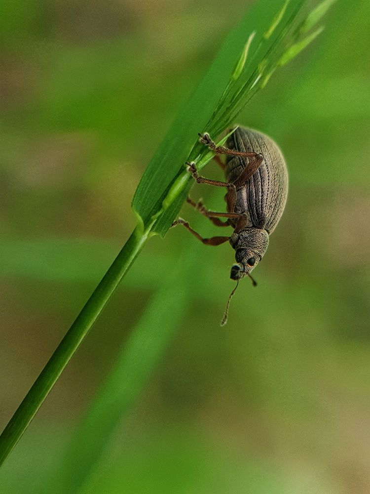 Photograph by Алла