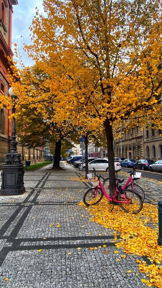 Photograph by Ольга Белостоцкая