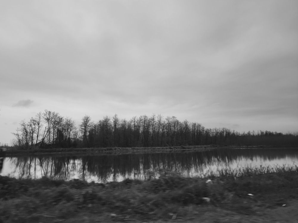 Photograph by Rahele Almassi