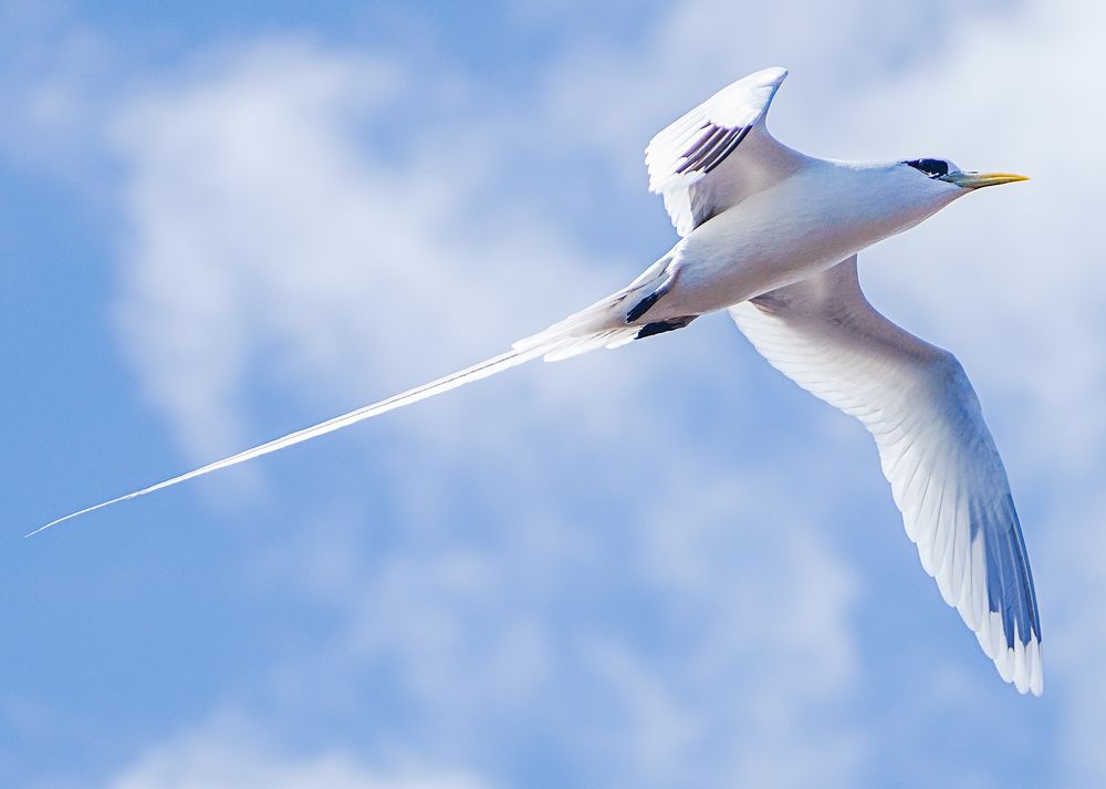 Photograph by Johan Etheve