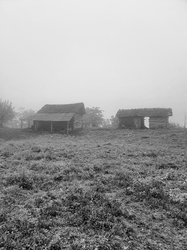 Photo #7612512