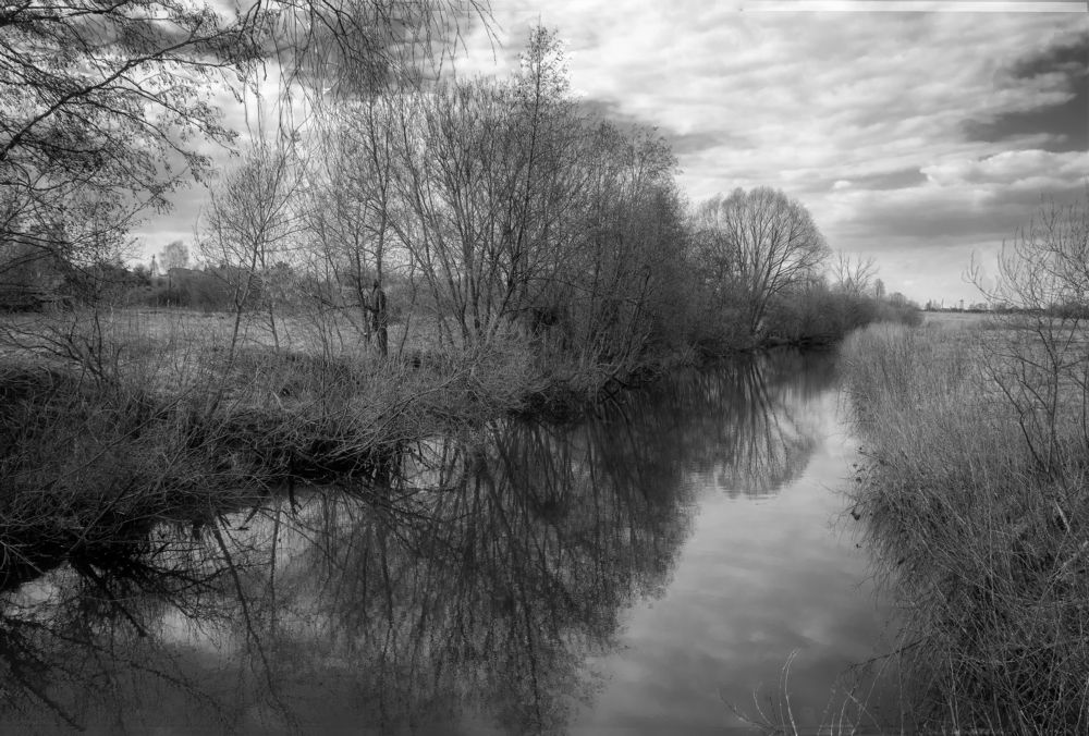 Photograph by Светлана Ващенко