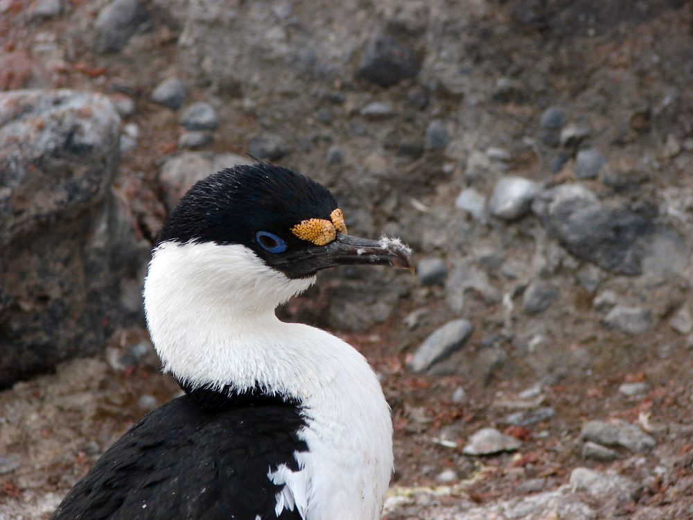 Photograph by Ivan Karavka