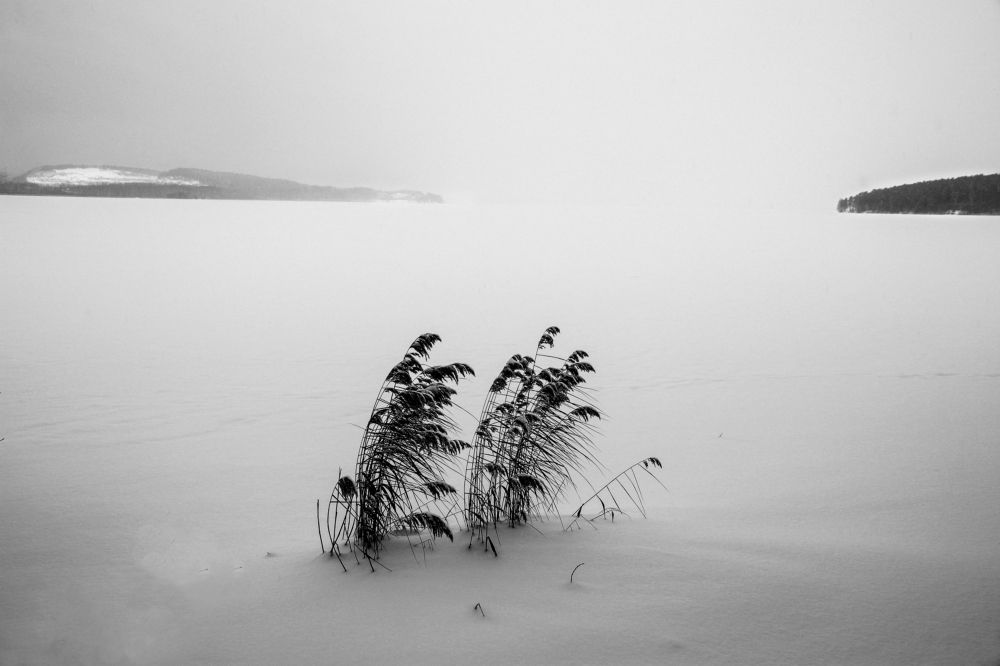 Photograph by федотов Алексей