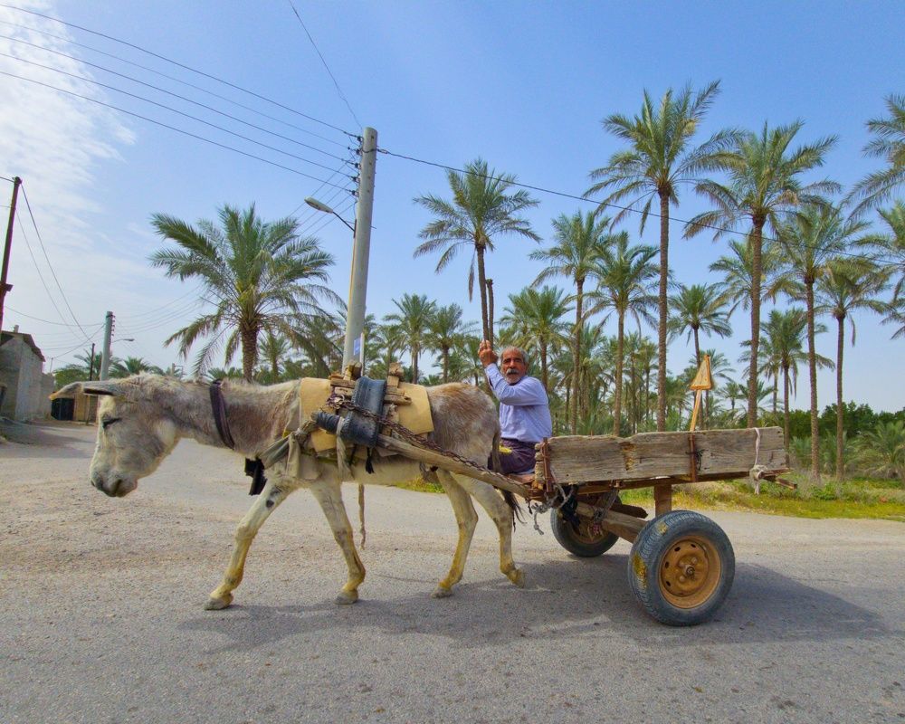 Photograph by AryoBarzan Garmsiri