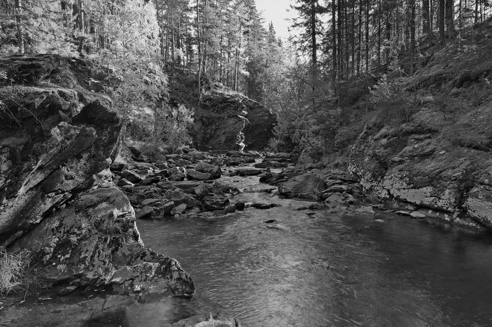 Photograph by Василий Быстрицкий