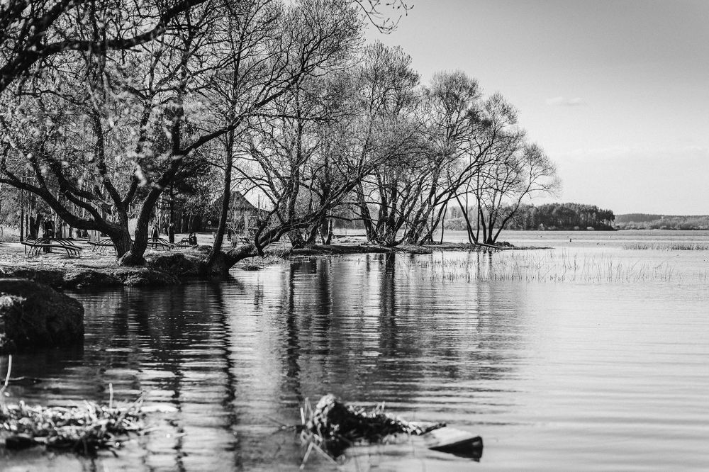 Photograph by Марина Пчелинцева