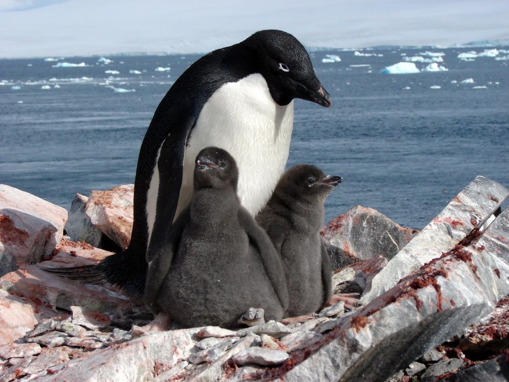 Photograph by Ivan Karavka