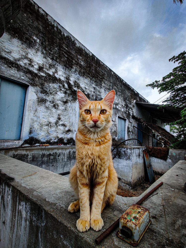 Photograph by Karthikeyan