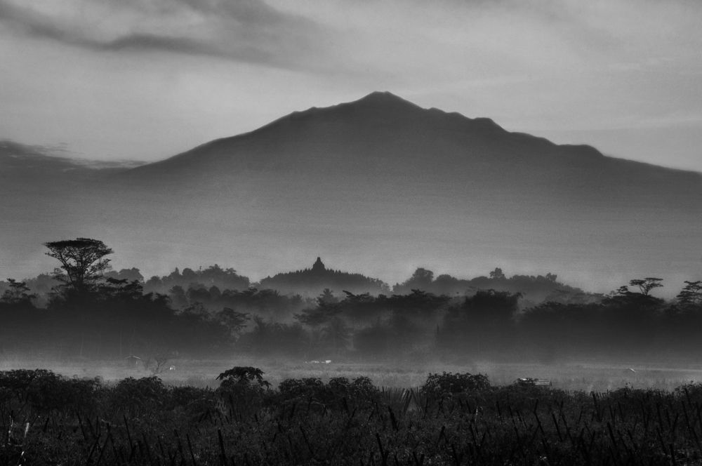 Photograph by  I Made Arya Dwita Dedok