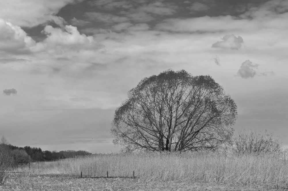 Photograph by Елена Щитова