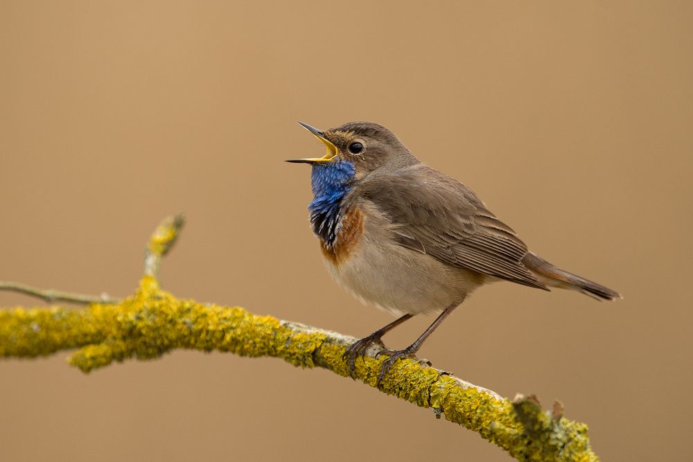 Photograph by Marek Wysocki