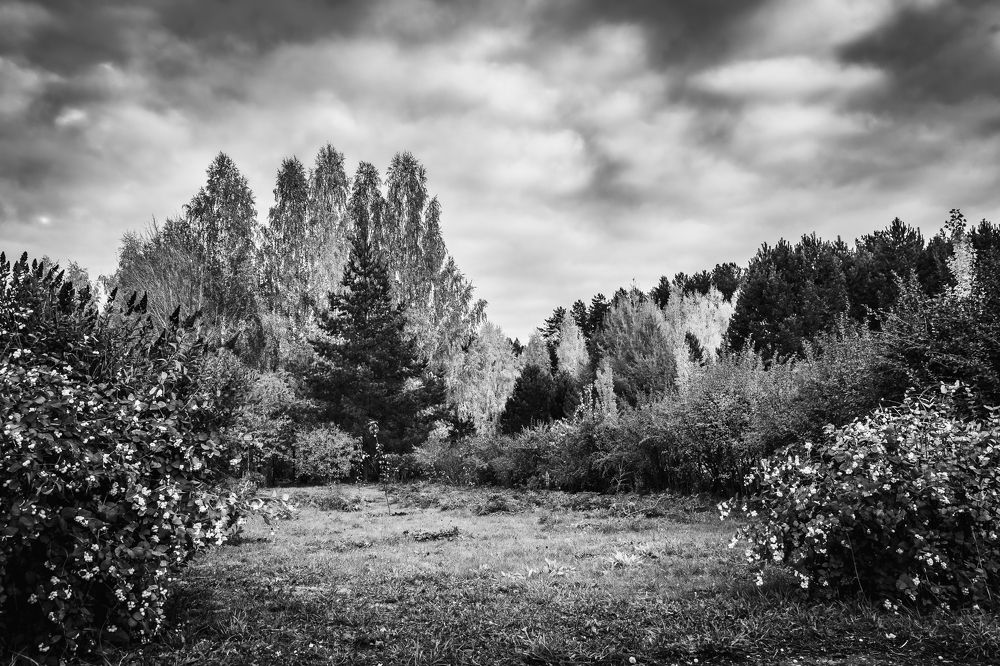 Photograph by Василий Лазарев