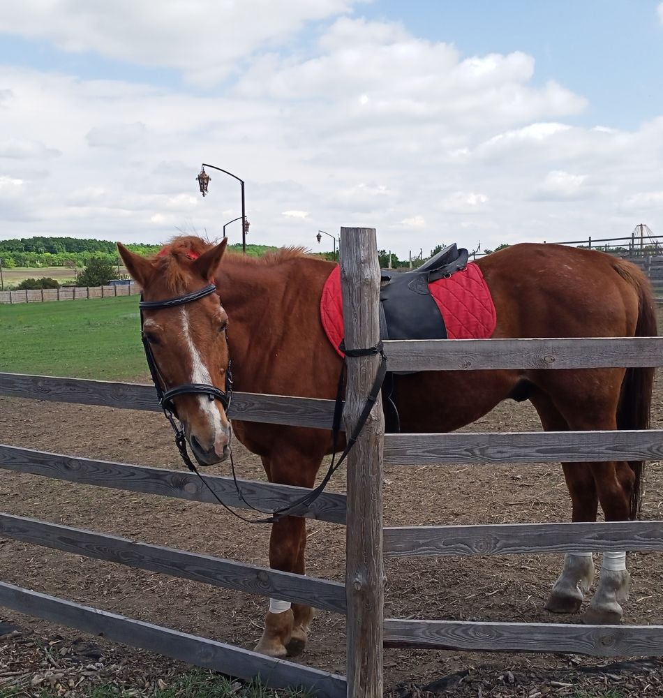 Photograph by Адамян Анна