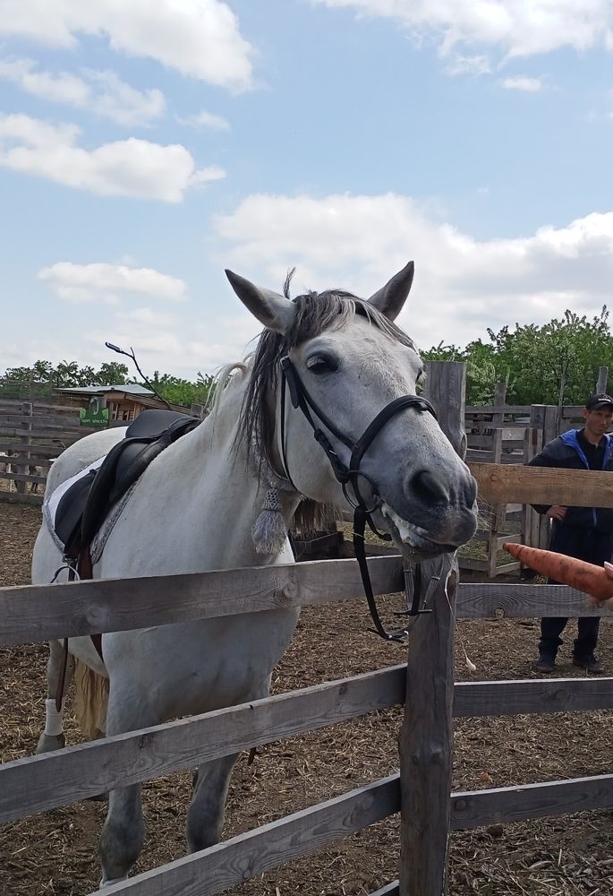 Photograph by Адамян Анна