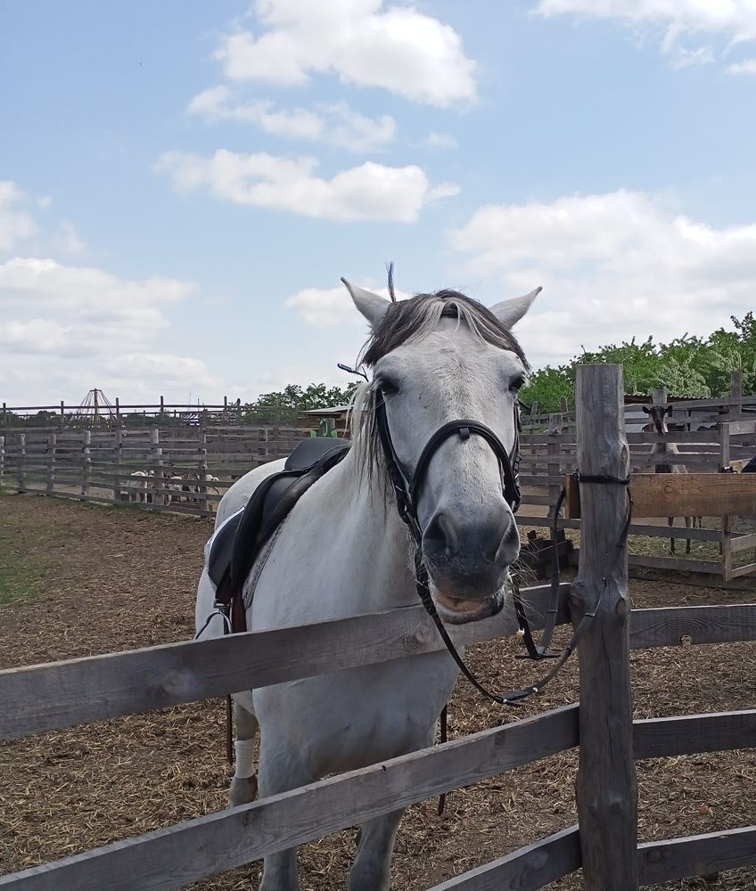 Photograph by Адамян Анна