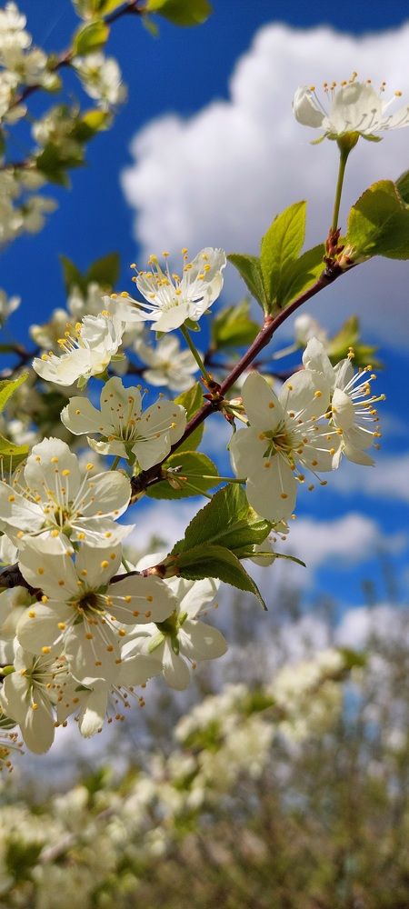 Photograph by Татьяна Подопрелова